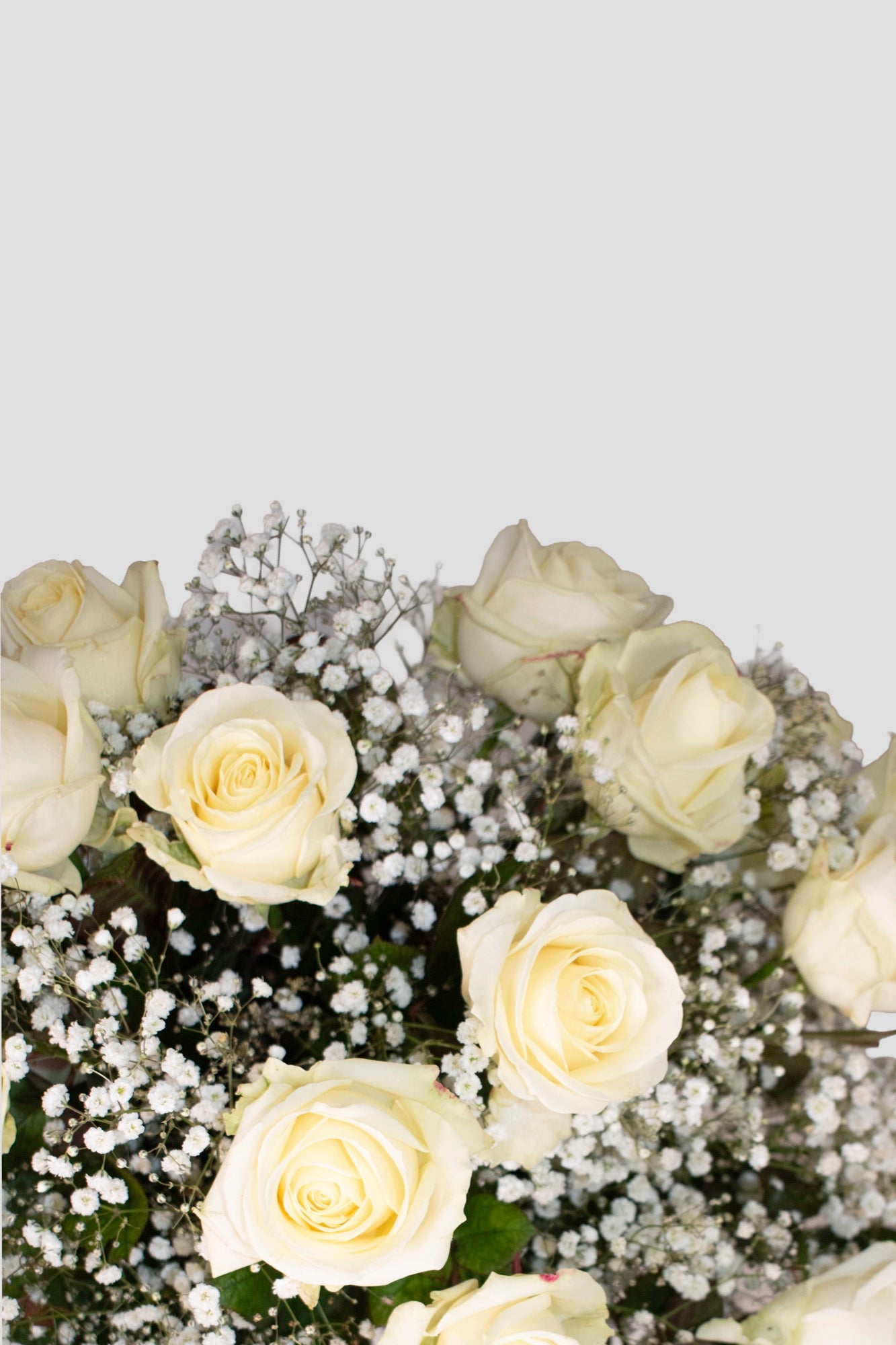 Witte rozen boeket groot